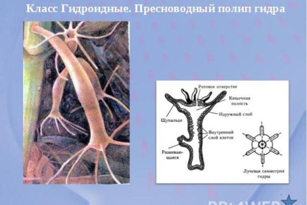 Кракен зеркала официальные