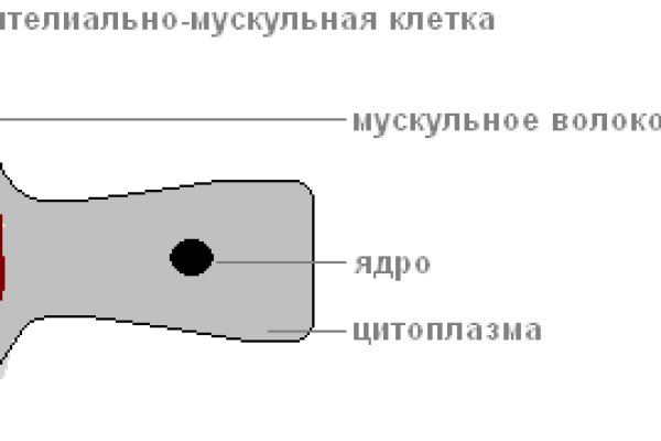 Что такое кракен маркет