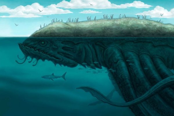 Kraken 14 at