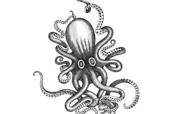 Kraken 23at