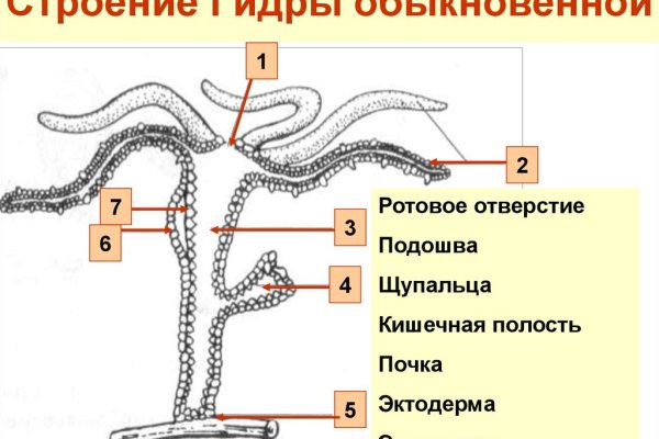 Кракен даркен