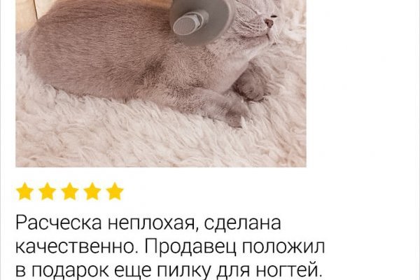 Ссылка на кракен шоп