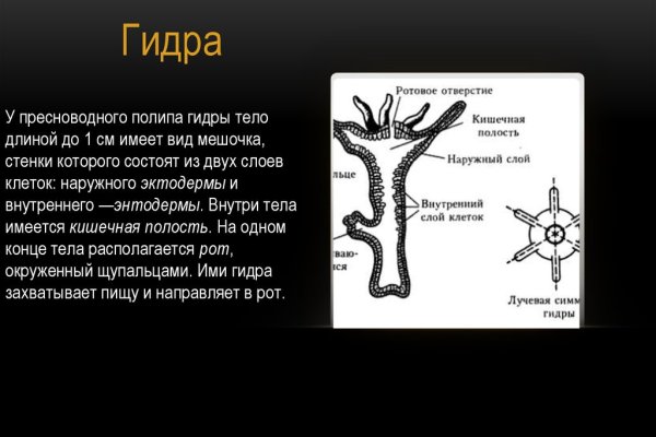 Кракен наркоторговец