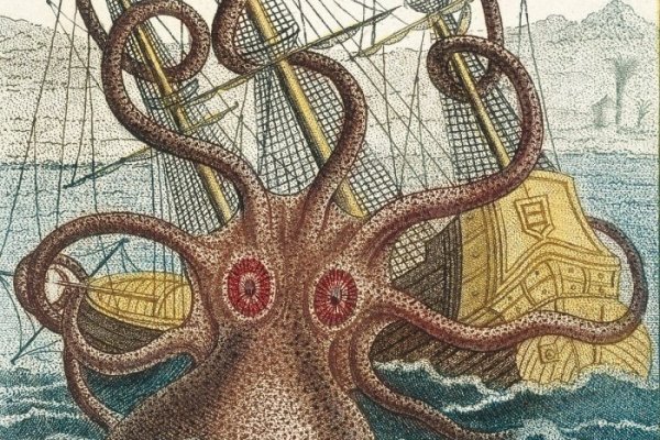 Kraken marketplace