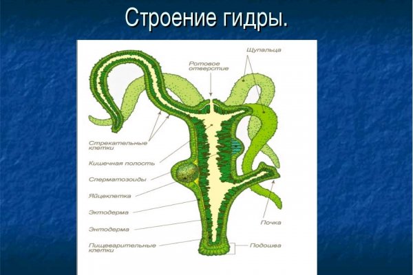 Кракен зеркало прокатис