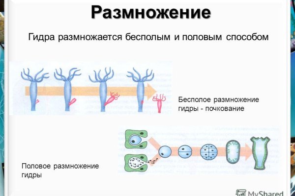 Что такое кракен маркетплейс курительный смесс