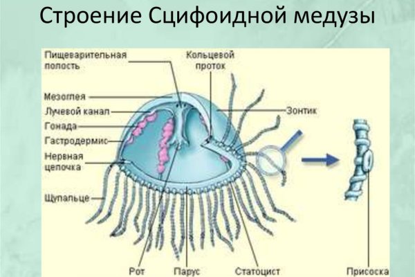 Сайт krn