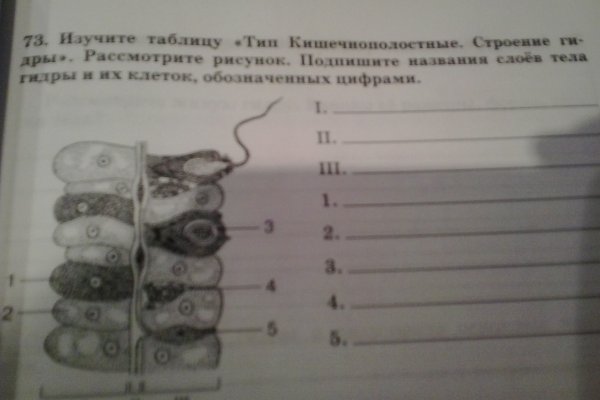 Замена hydra